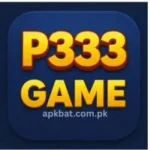 P333 Game