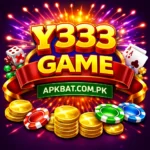 Y333 Game