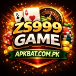 ZS999 Game
