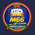 M66 Game