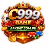 C999 Game
