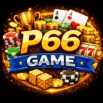 P66 Game