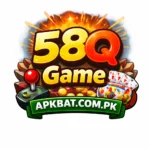 58Q Game