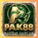 PAK88 Game