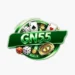GN55 Game